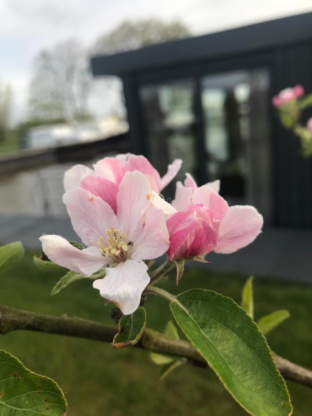 Uniek Overnachten In Een Tiny House Op De Appelhof Wommels Eksteriør billede